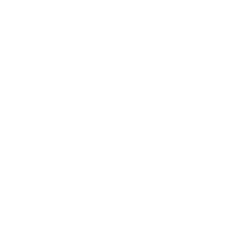 Pau FC